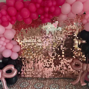 Shimmer Backdrop Wall Rental