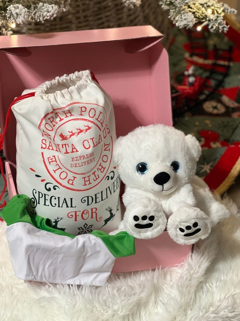 Holiday Build-A-Bear Party Box - Image 3