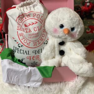 Holiday Build-A-Bear Party Box