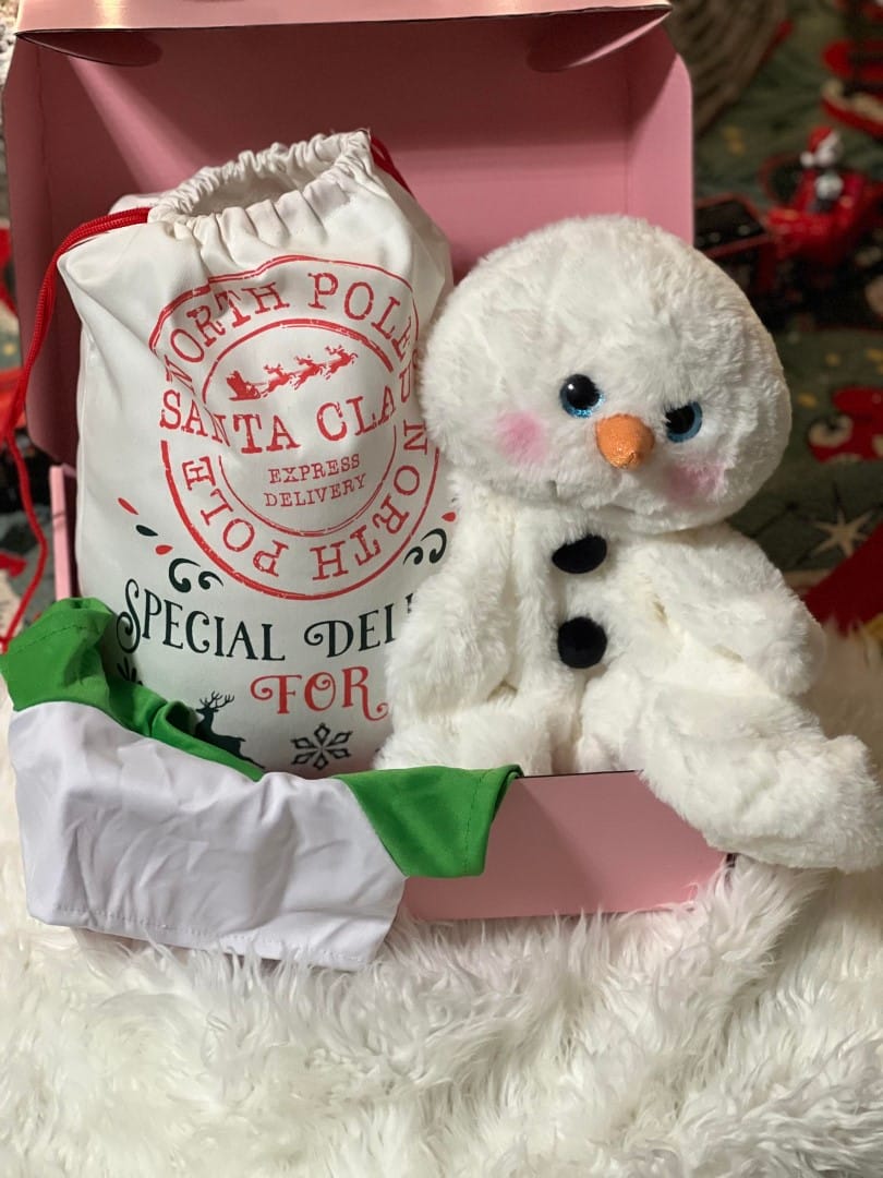 Holiday Build-A-Bear Party Box
