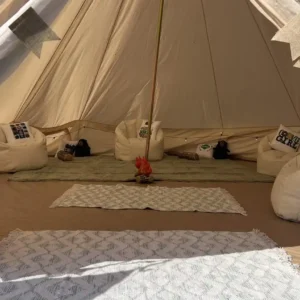 Girls Scout Party Theme