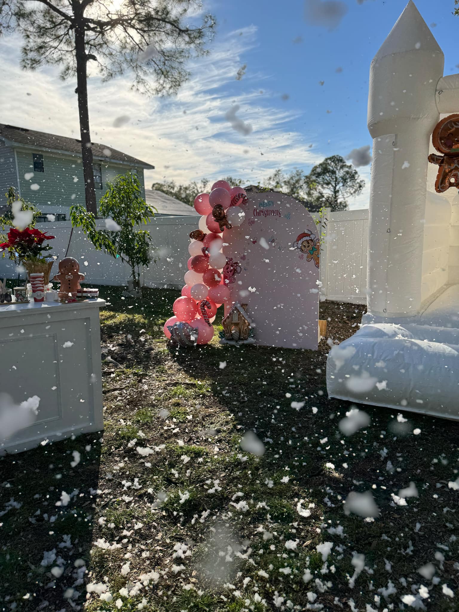 Snow Machine Rental - Image 5