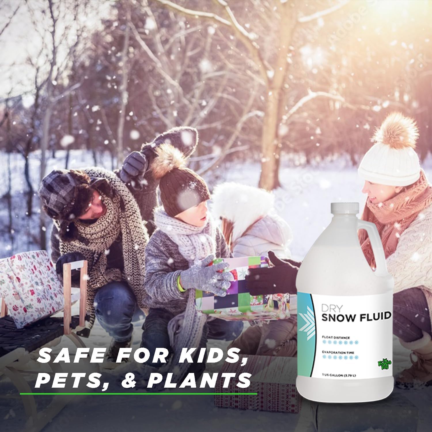 Snow Machine Rental - Image 3