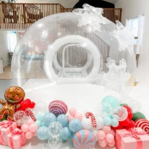 Enchanting Bubble Balloon House Rental
